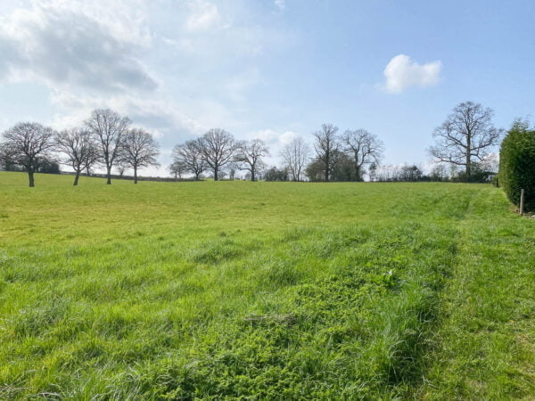 Pegasus Construction Bewdley Case Study