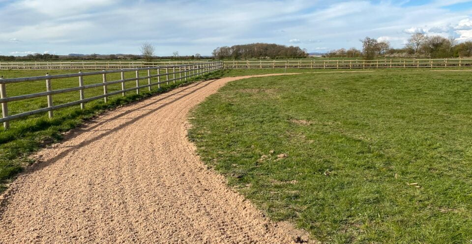 Pegasus Construction gallops