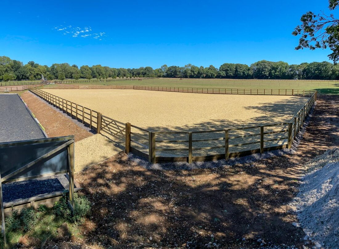 Pegasus construction arena